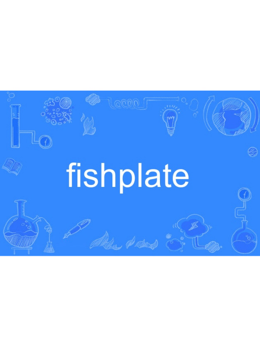 fishplate