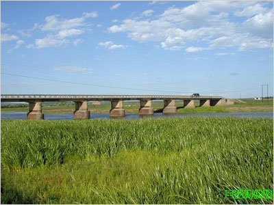 科洛河大橋