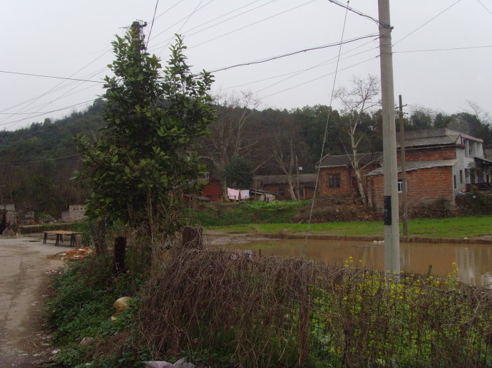 南華村(山東濟寧泗水縣大黃溝鄉南華村)