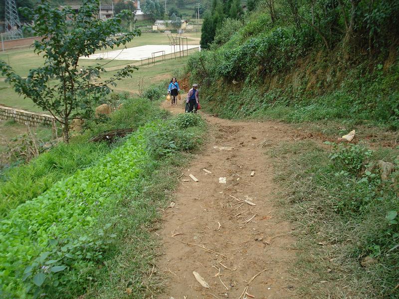 進村道路