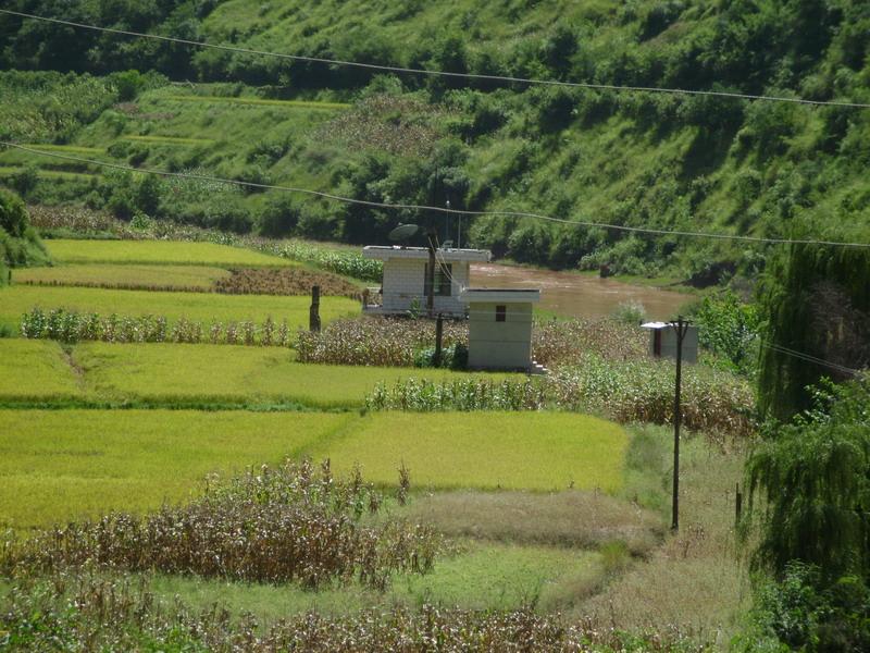 種植業