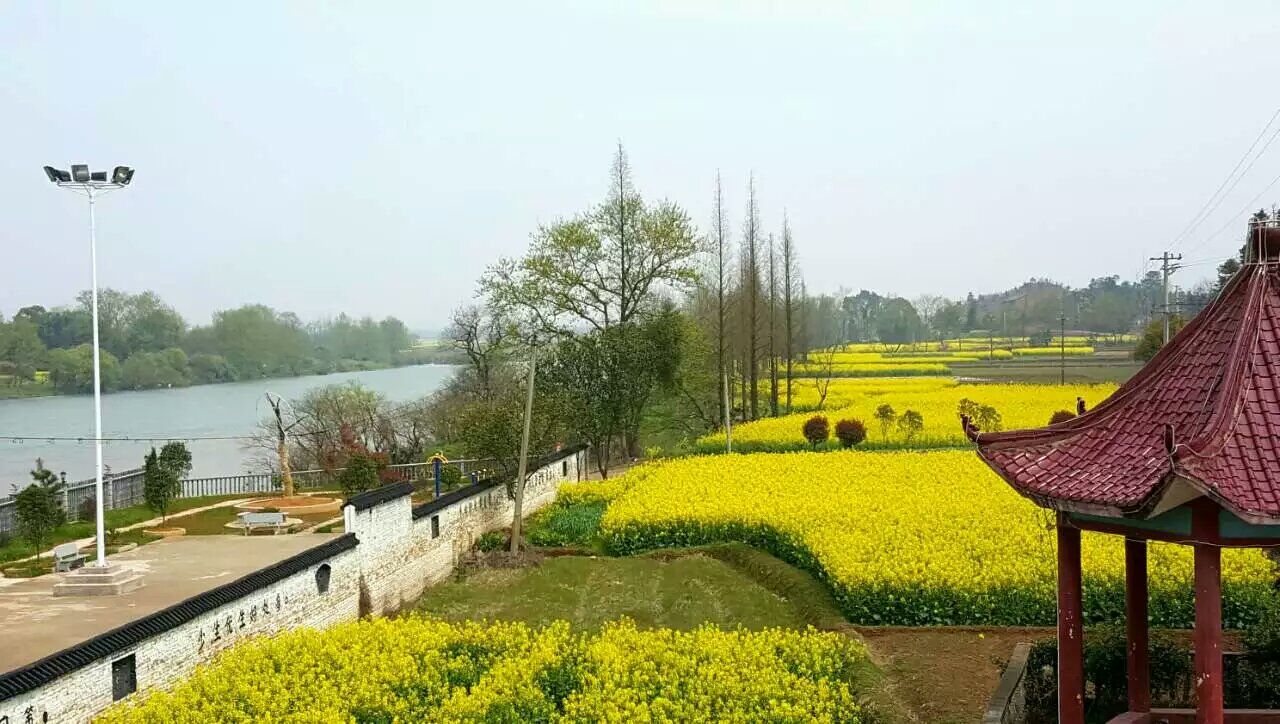 板橋村(江西省上饒市玉山縣文成鎮板橋村)