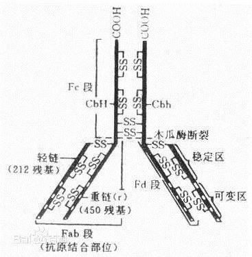 可變區