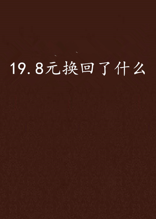 19.8元換回了什麼