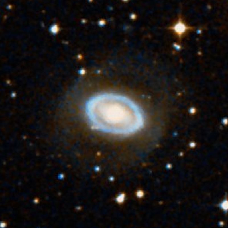 NGC 3081