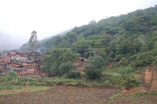 革甸龍村