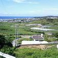 大里村(浙江東陽市歌山鎮轄村)