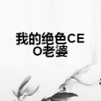 我的絕色CEO老婆