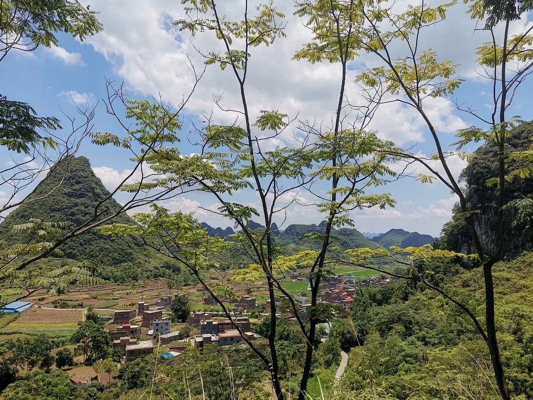 雷洞村(廣西忻城縣紅渡鎮下轄村)