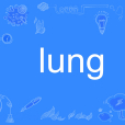 lung