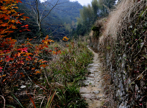 九龍山古道