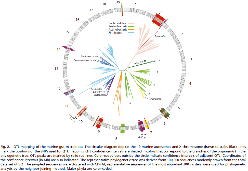 16SrDNA