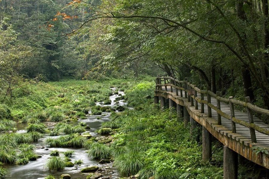 娑羅山森林公園(娑羅山景區)