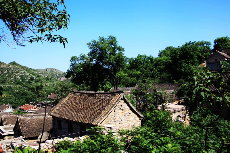 王家山村(山西省大同市天鎮縣卅里舖鄉下轄村)