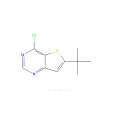 6-叔丁基-4-氯噻酚[3,2-D]嘧啶