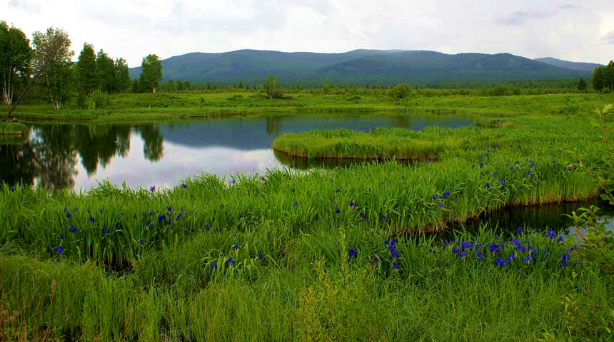 內蒙古阿魯自治區級自然保護區