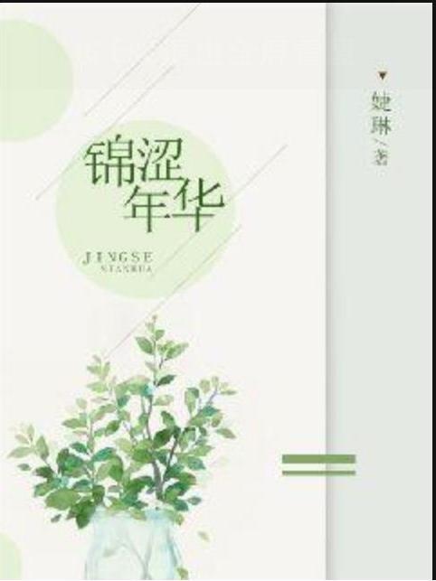 錦澀年華(婕琳所著小說)