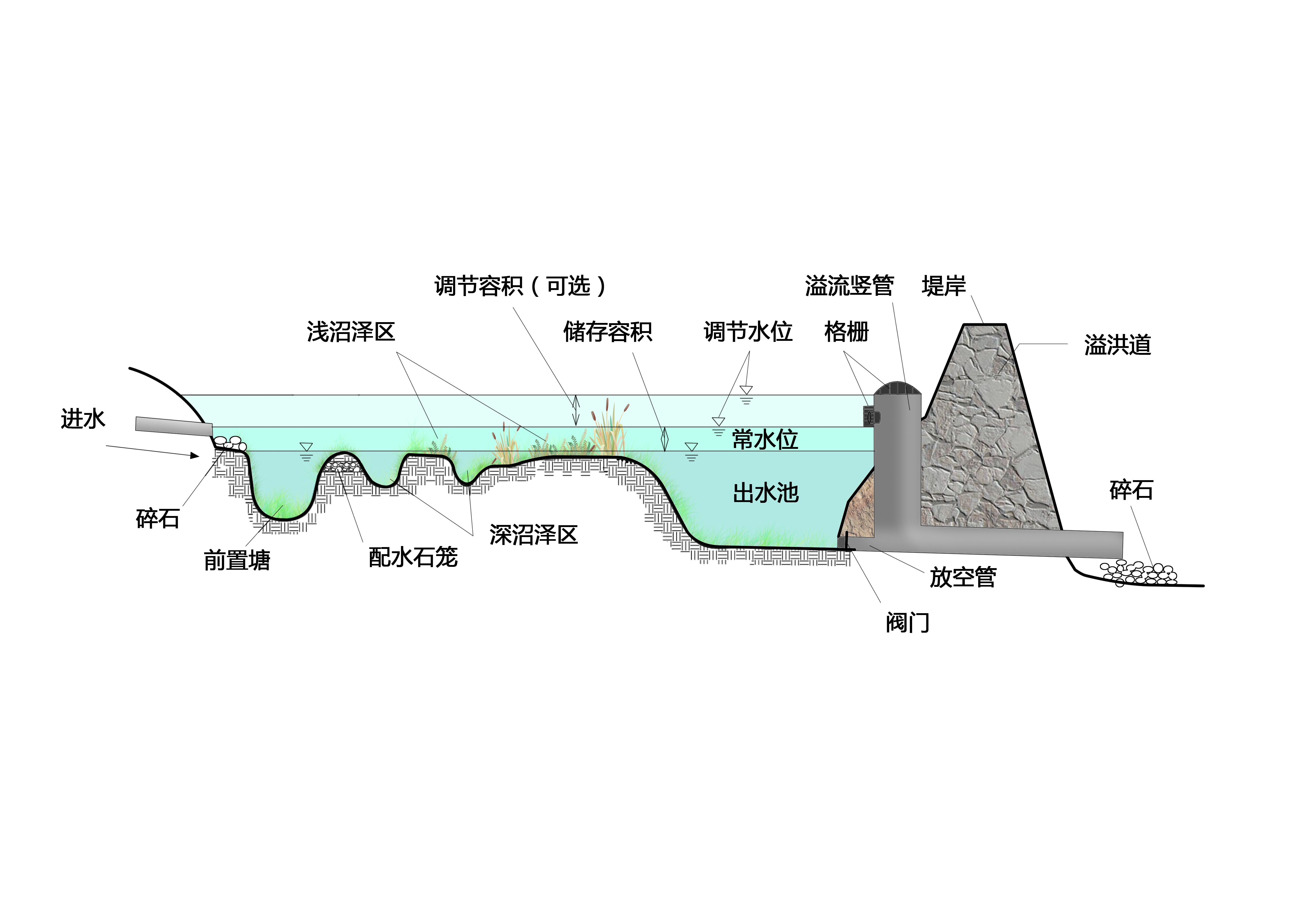 雨水濕地