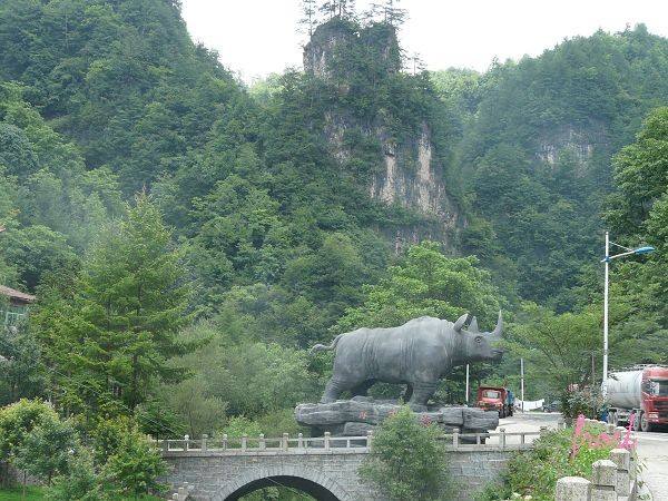 犀牛村(雲南省昭通市永善縣碼口鄉下轄村)