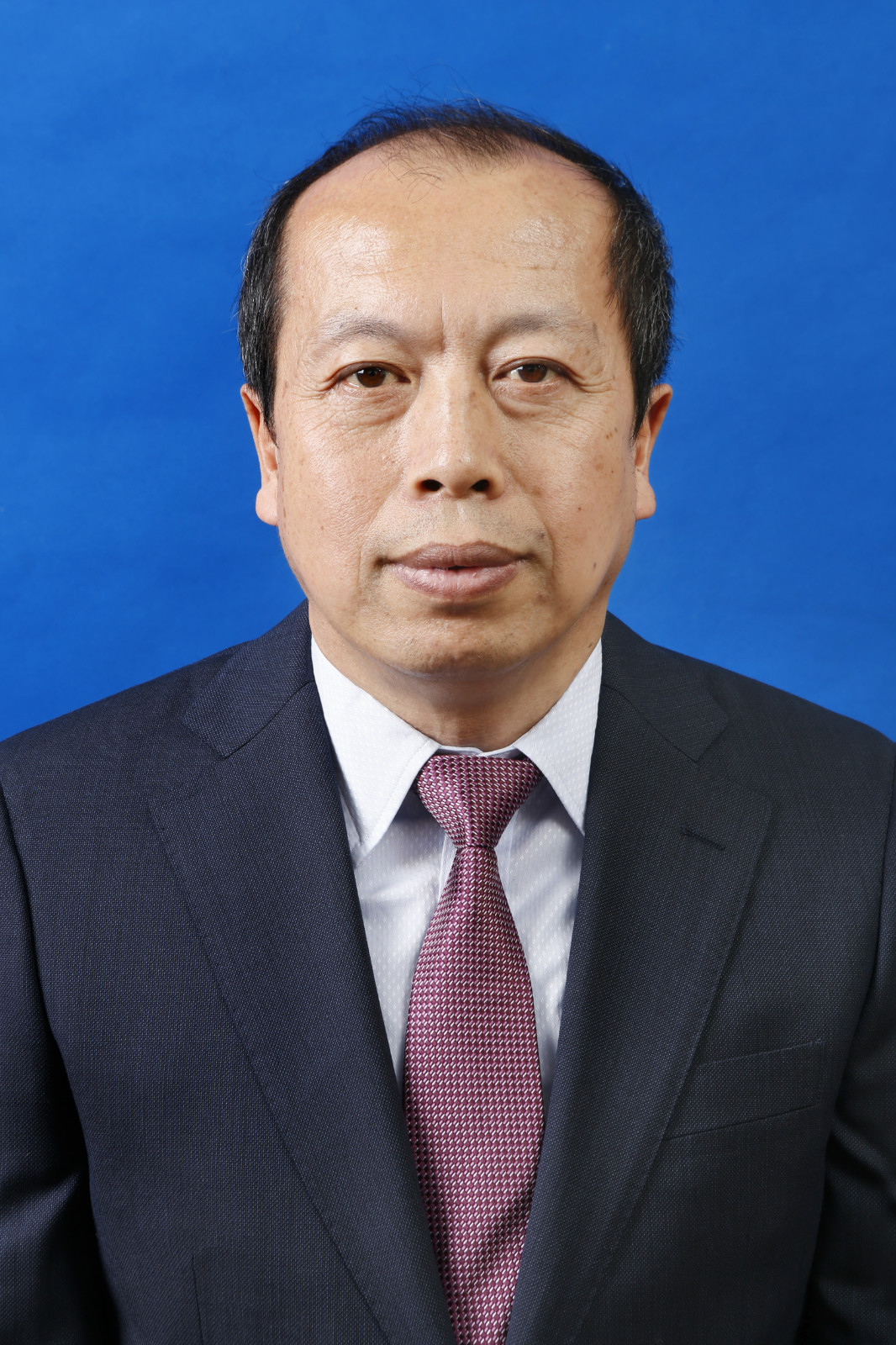 劉野(黑龍江省綏化市人民政府副市長)