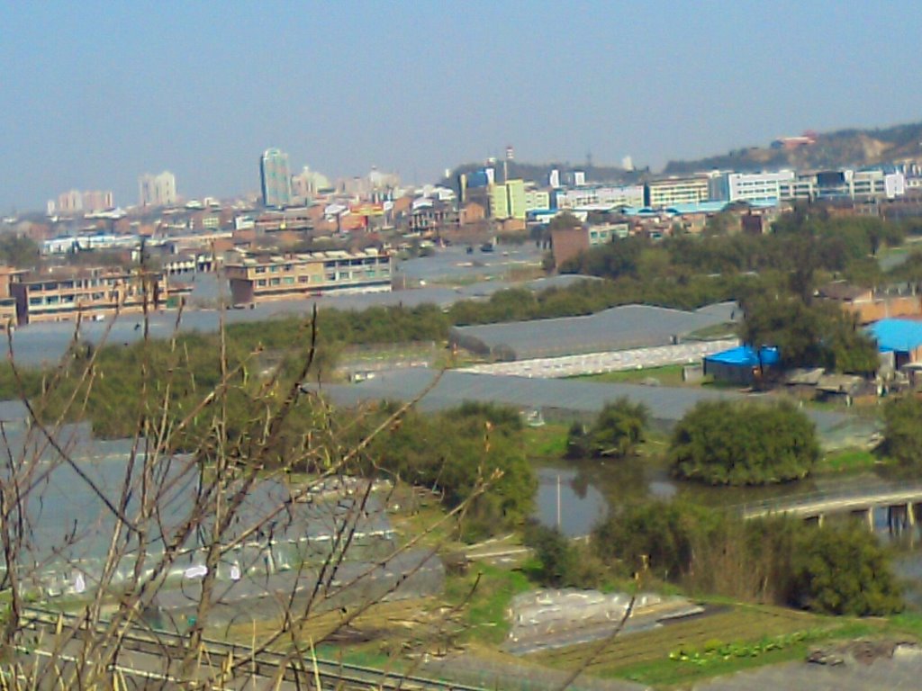 河尾村(雲南省施甸縣姚關鎮下轄村)