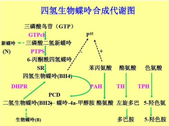 四氫生物蝶呤