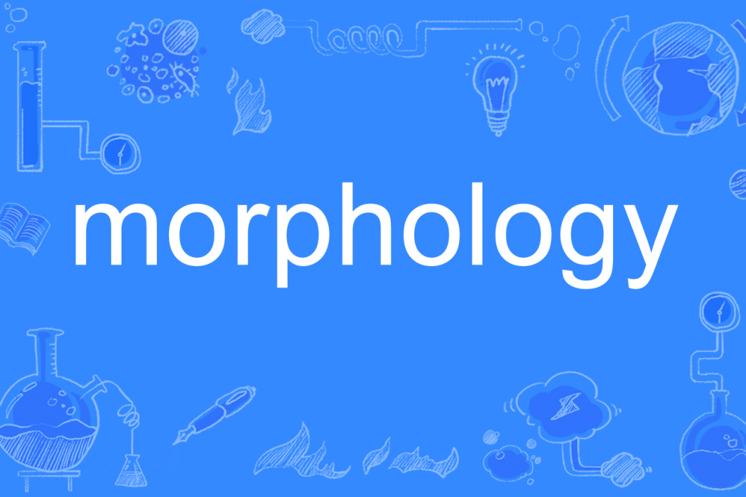 morphology