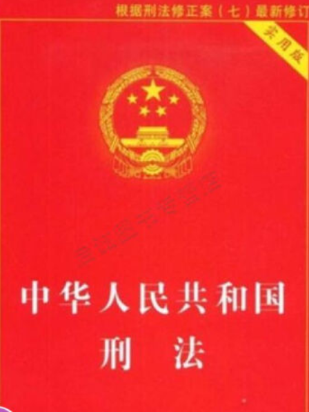 中華人民共和國刑法(2007年中國法制出版社出版的圖書)