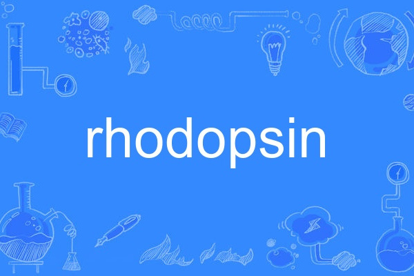 rhodopsin