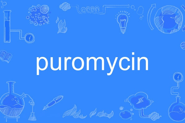 puromycin