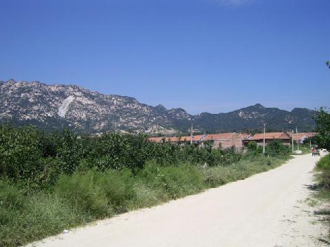 口子村(山東青島市平度市大田鎮下轄村)