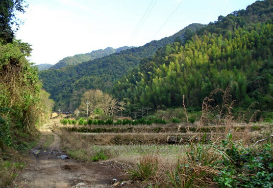 三官殿村(湖北省黃岡市羅田縣三里畈鎮三官殿村)