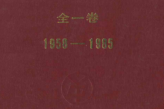 張店鋼鐵廠志(1958-1985)全一卷