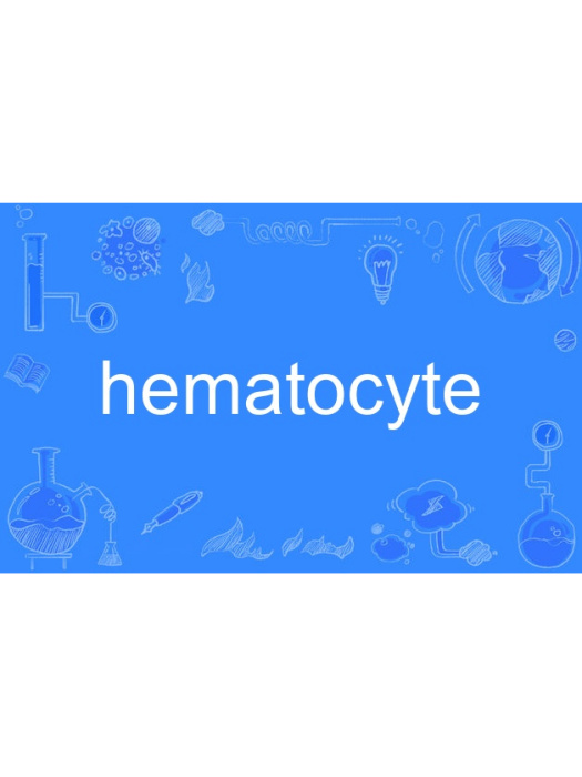 hematocyte