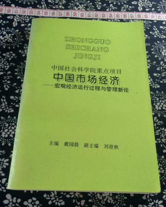 中國市場經濟 : 巨觀經濟運行過程與管理新論