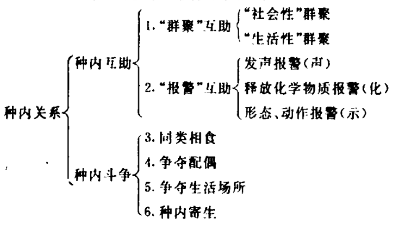 種內關係