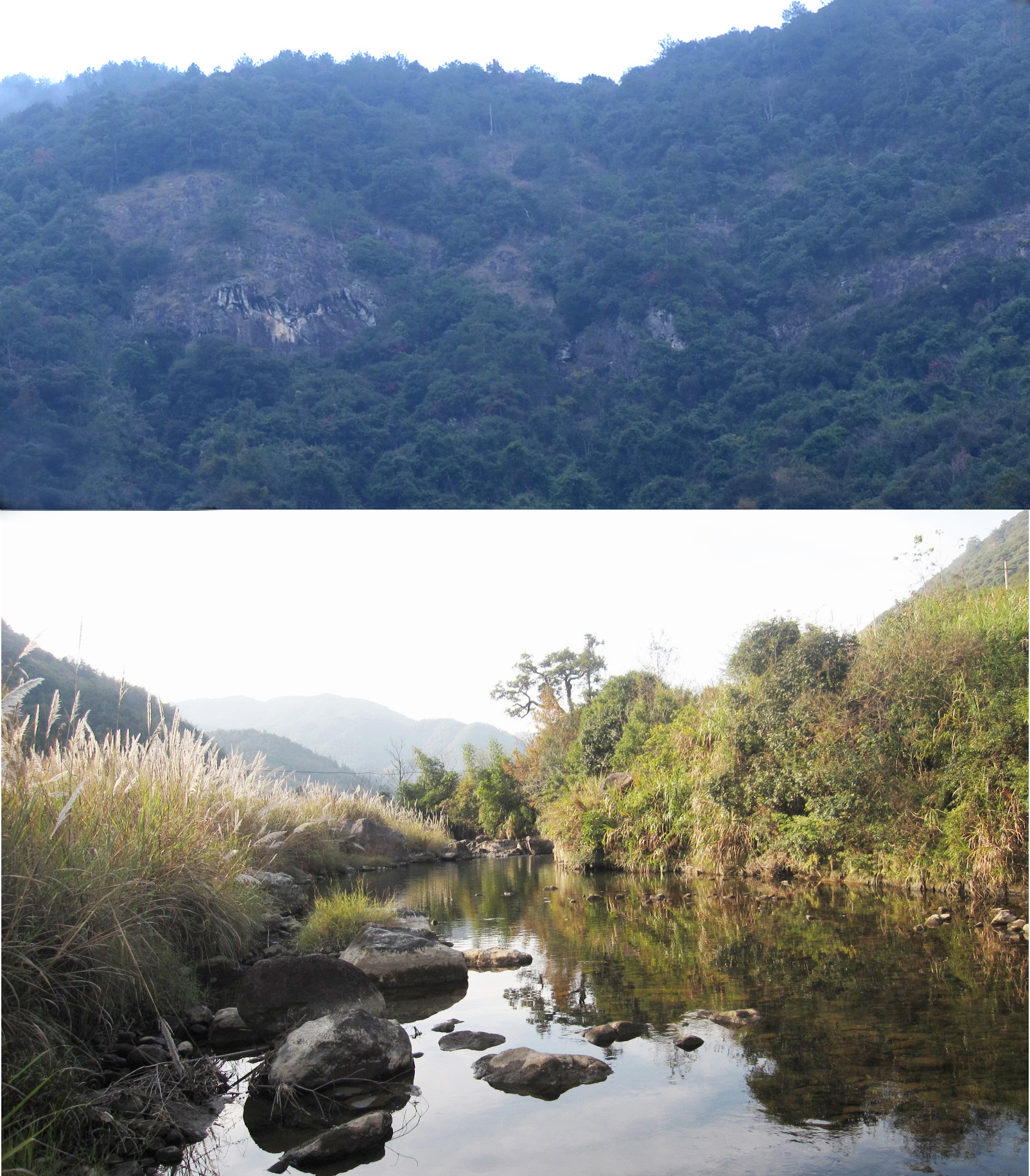 上際村(福建省福州市永泰縣長慶鎮上際村)