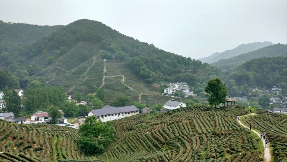 龍井村(貴州畢節市納雍縣雍熙鎮龍井村)