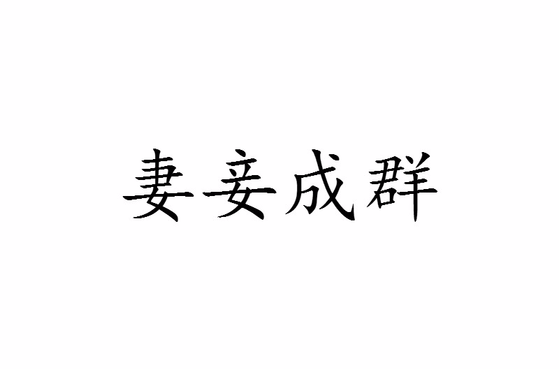 妻妾成群(漢語詞語)