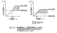 臨界光照度