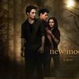 Twilight 2