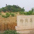 漢齊王墓