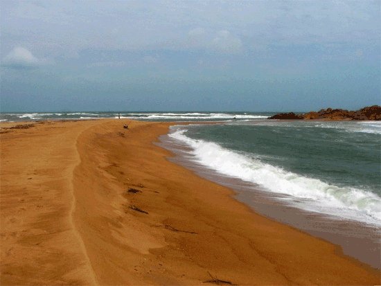 海南椰子島