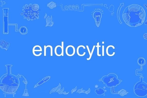 endocytic