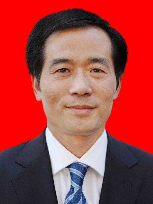 謝平(鹹寧市統計局黨組成員、副局長)