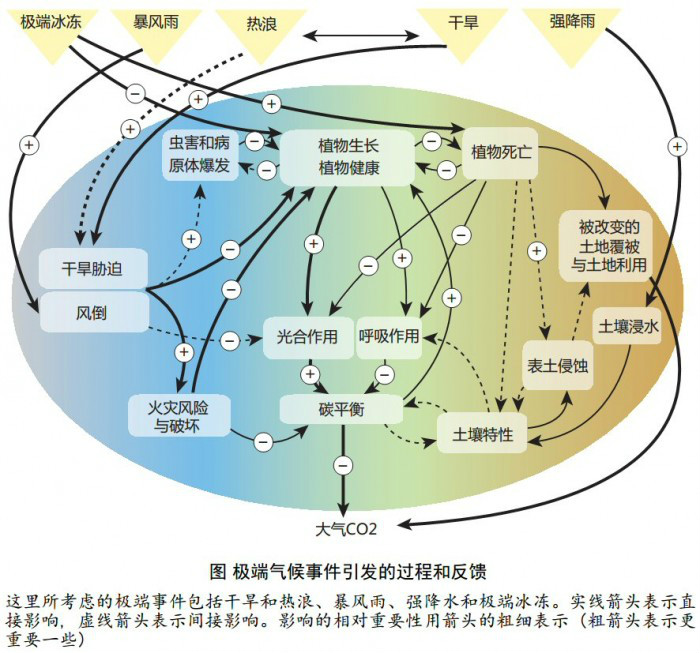 生態氣候圖解