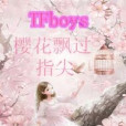 tfboys櫻花飄過指尖