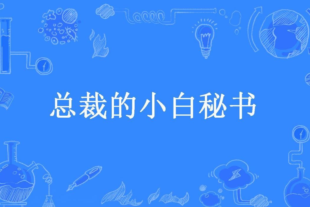 總裁的小白秘書