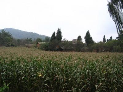 雞冠山自然村