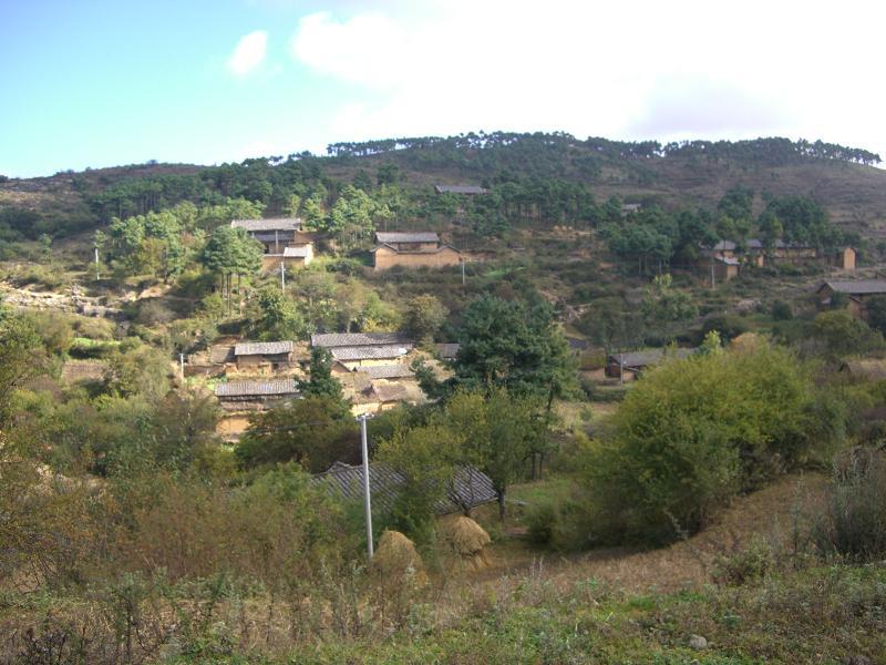 南團村(雲南省昭通市巧家縣崇溪鄉下轄村)